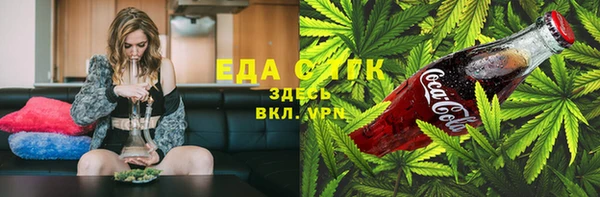 ПСИЛОЦИБИНОВЫЕ ГРИБЫ Вяземский