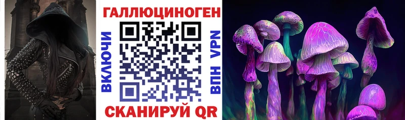 Купить  Ладушкин  Галлюциногенные грибы Psilocybine cubensis 